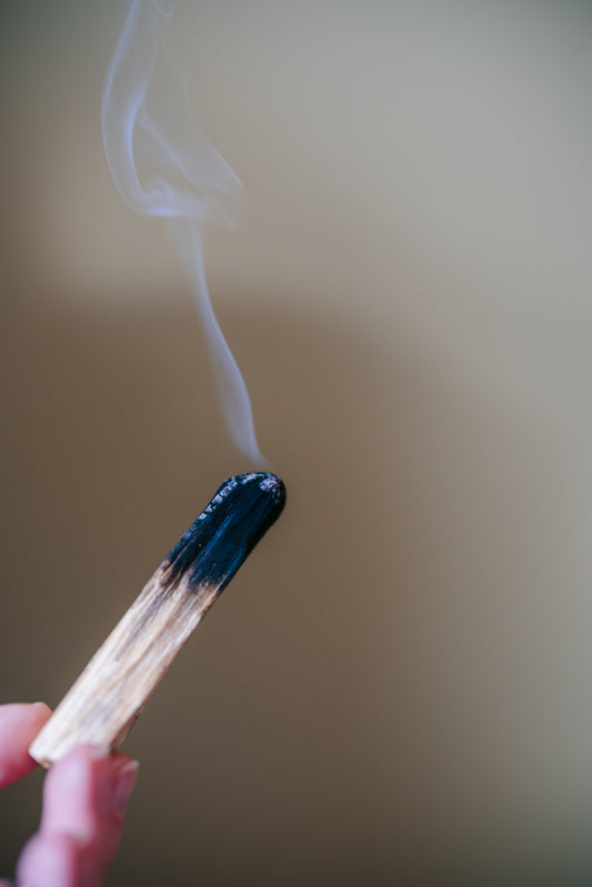 Palo Santo Sticks 2oz.