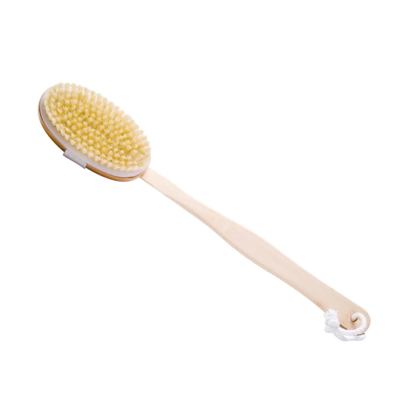 Detachable Body Dry Brush